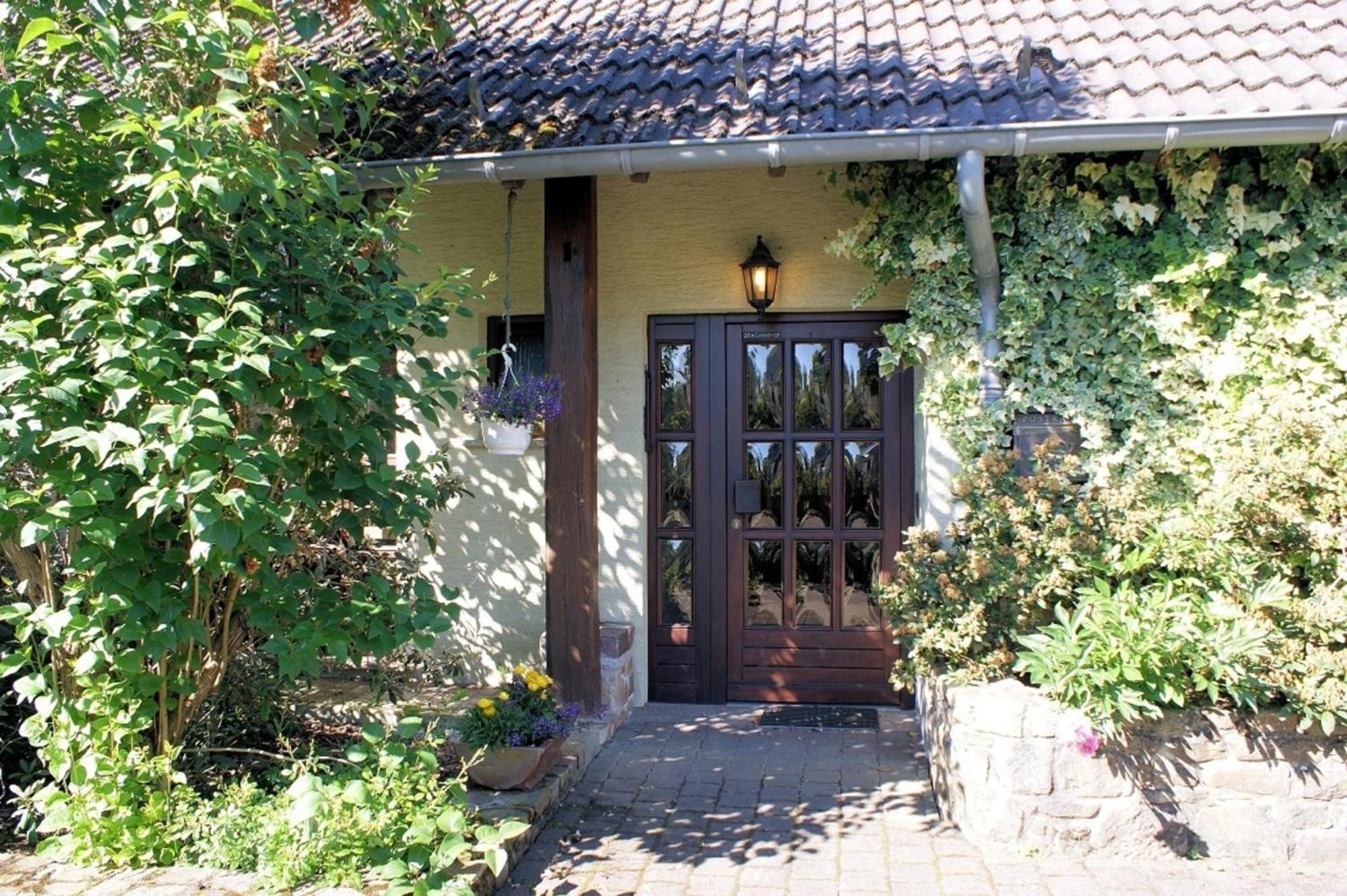 Haus "Zwischen Den Waeldern" Apartman Allenbach Kültér fotó